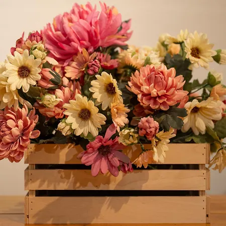 Casa Pina Appartamento